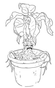 EE-Sketch-HP Greenhouse