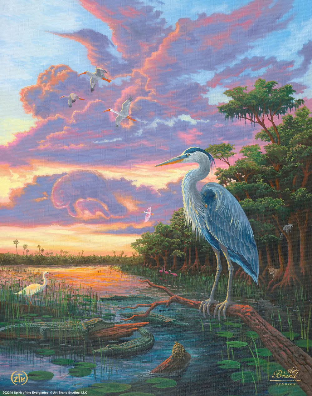 Spirit of the Everglades