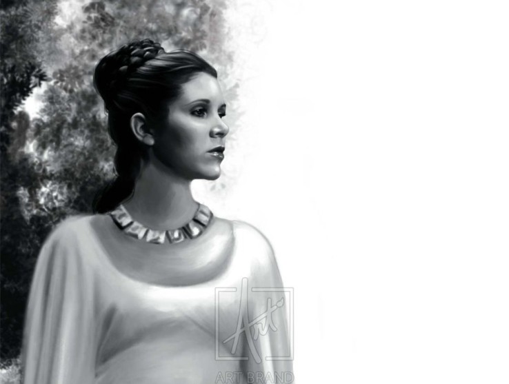 The Daughter, Leia, in Star Wars Paintings by Art Brand Studios.