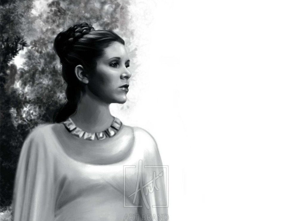 The Daughter, Leia, in Star Wars Paintings by Art Brand Studios.